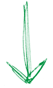 矢印